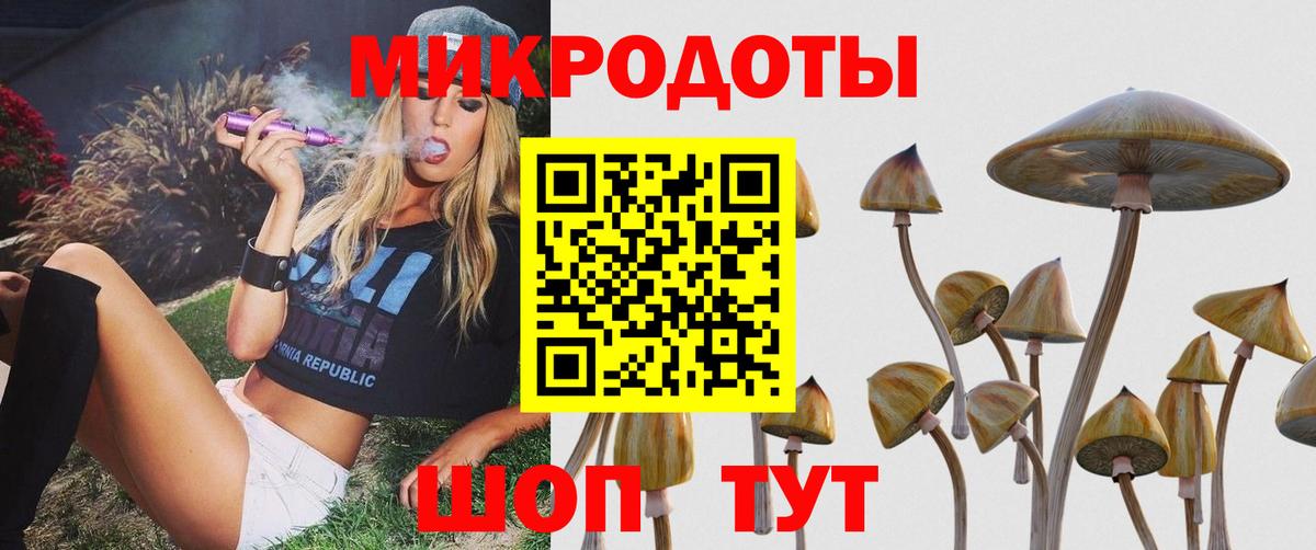 Бердск  Галлюциногенные грибы Magic Shrooms  Вход с VPN 