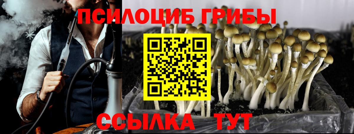 Псилоцибиновые грибы GOLDEN TEACHER Бердск